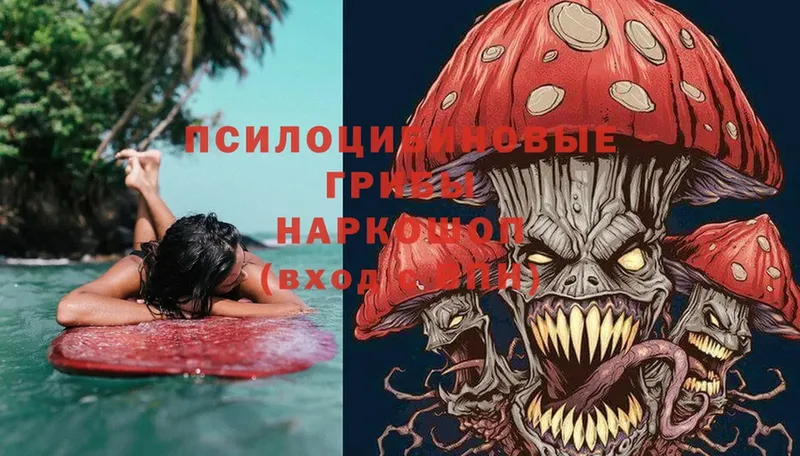 Галлюциногенные грибы Magic Shrooms  Аргун 